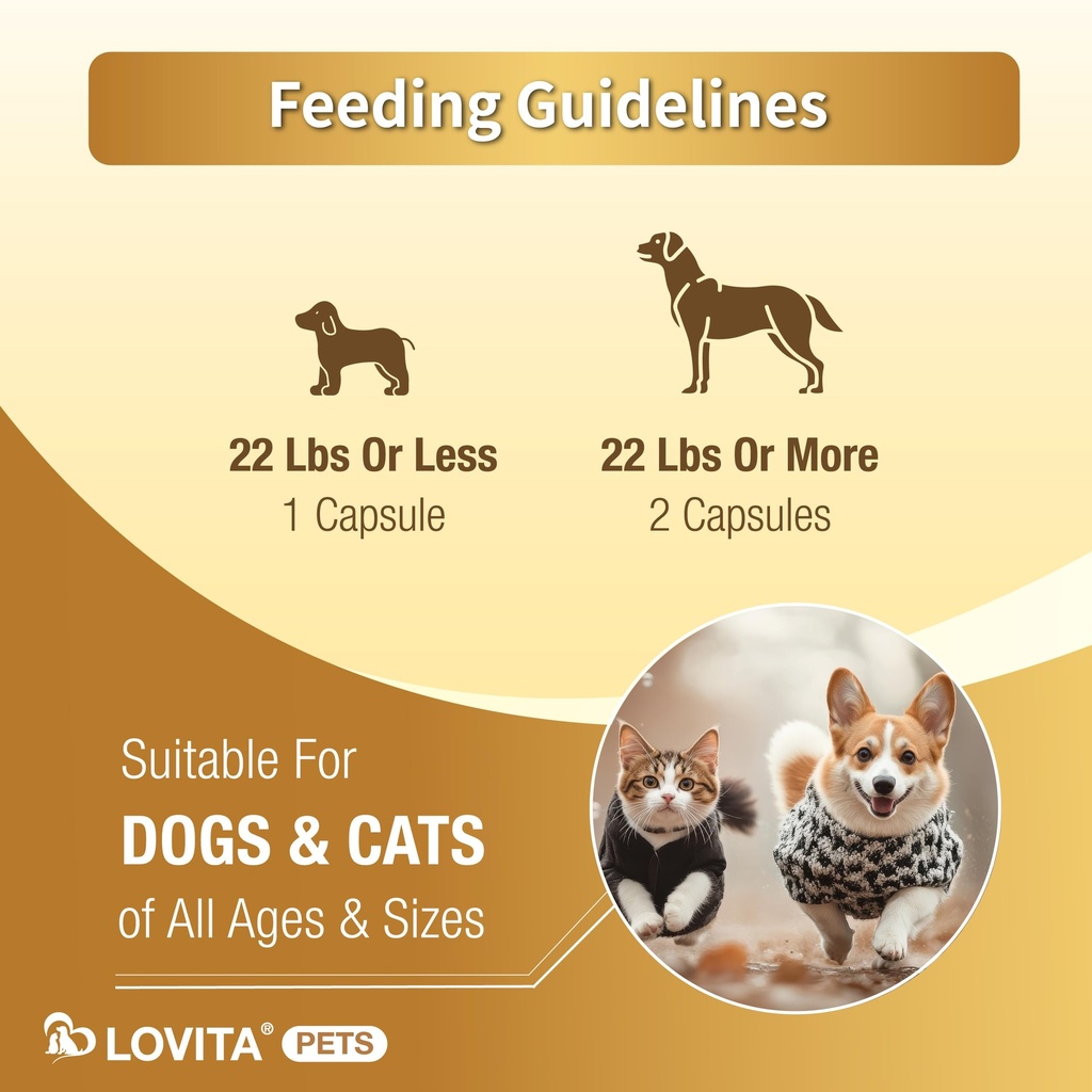 lovita-eyes-care-for-pets-supports-visio-4.jpg