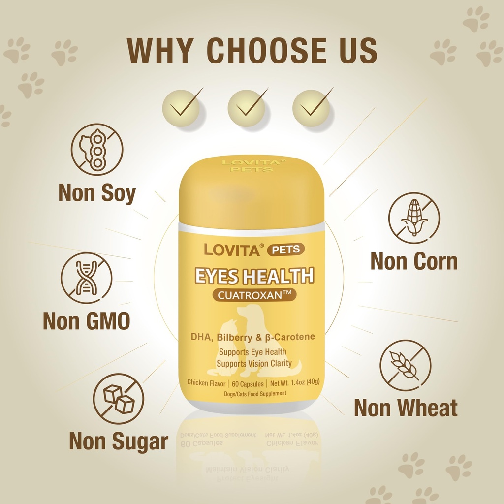 lovita-eyes-care-for-pets-supports-visio-6.jpg