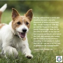 c60-power-for-pets-c60-in-organic-mct-co-5.jpg