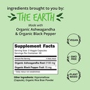 happy-healthy-hippie-beetroot-capsules-o-2.jpg