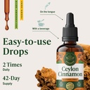 herbamama-ceylon-cinnamon-supplements-ce-6.jpg