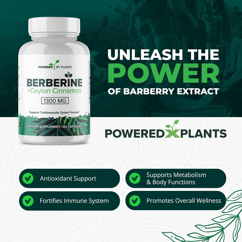 pure-berberine-supplement-1300mg-berberi-3.jpg