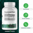 pure-berberine-supplement-1300mg-berberi-5.jpg