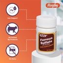 rugby-ferrous-sulfate-325mg-tablets-iron-3.jpg