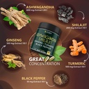 herbpy-bundle-7in1-turmeric-root-1510mg--6.jpg