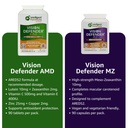 vision-defender-amd-and-vision-defender--5.jpg