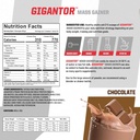 undefined-nutrition-gigantor-chocolate-c-2.jpg