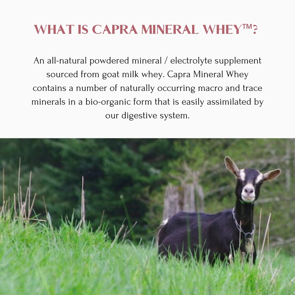 mt-capra-mineral-whey-a-whole-food-bio-a-4.jpg