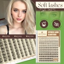 keyyou-spider-lash-clusters-breeze-eyela-4.jpg