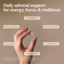 terry-naturally-adrenaplex-adrenal-gland-4.jpg