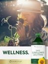 carlyle-sunflower-lecithin-liquid-16-fl--6.jpg