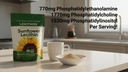 organic-sunflower-lecithin-powder-deoile-2.jpg