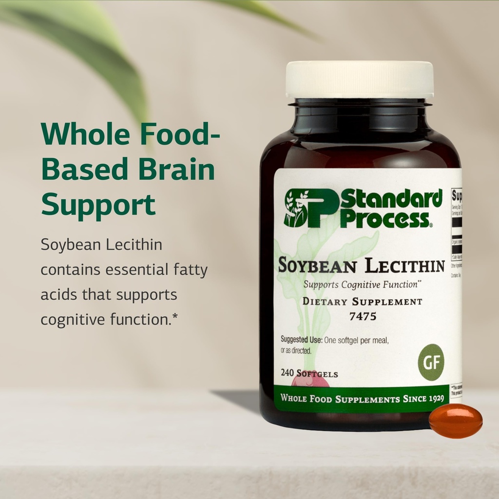 standard-process-soybean-lecithin-brain--3.jpg