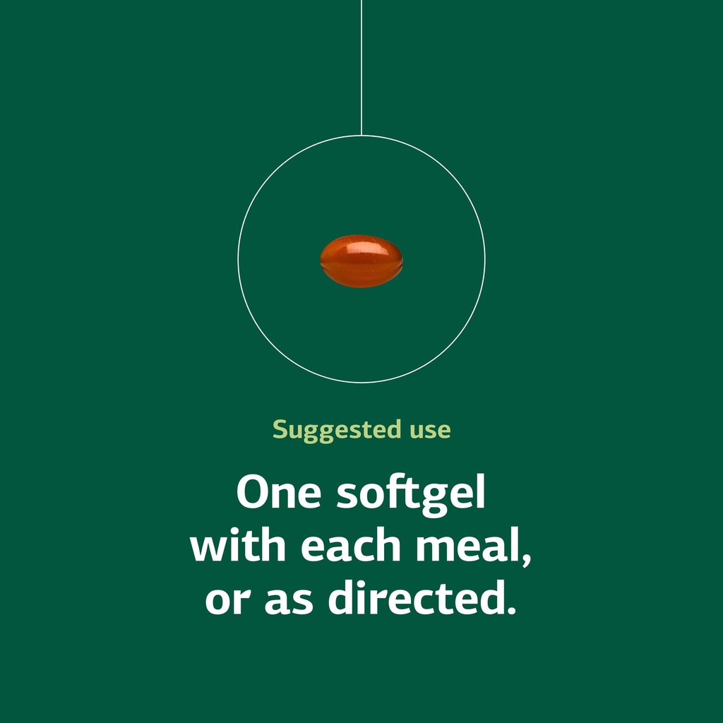 standard-process-soybean-lecithin-brain--5.jpg