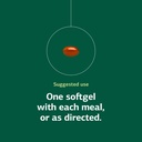 standard-process-soybean-lecithin-brain--5.jpg