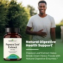 papaya-leaf-extract-120-capsules-for-dig-4.jpg