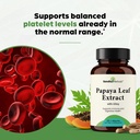 papaya-leaf-extract-120-capsules-for-dig-3.jpg