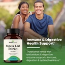papaya-leaf-extract-120-capsules-for-dig-6.jpg