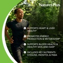naturesplus-super-b-50-high-potency-b-co-4.jpg