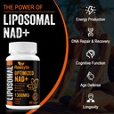 liposomal-nad-supplement-1300-mg-per-ser-6.jpg