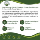 usda-organic-mullein-leaf-drops-for-lung-4.jpg