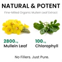 mullein-drops-for-lungs-pure-mullein-ext-4.jpg