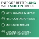 mullein-drops-for-lungs-pure-mullein-ext-6.jpg