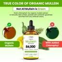 mullein-drops-for-lungs-usda-organic-lun-5.jpg
