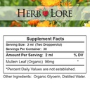 herb-lore-mullein-tincture-organic-mulle-6.jpg