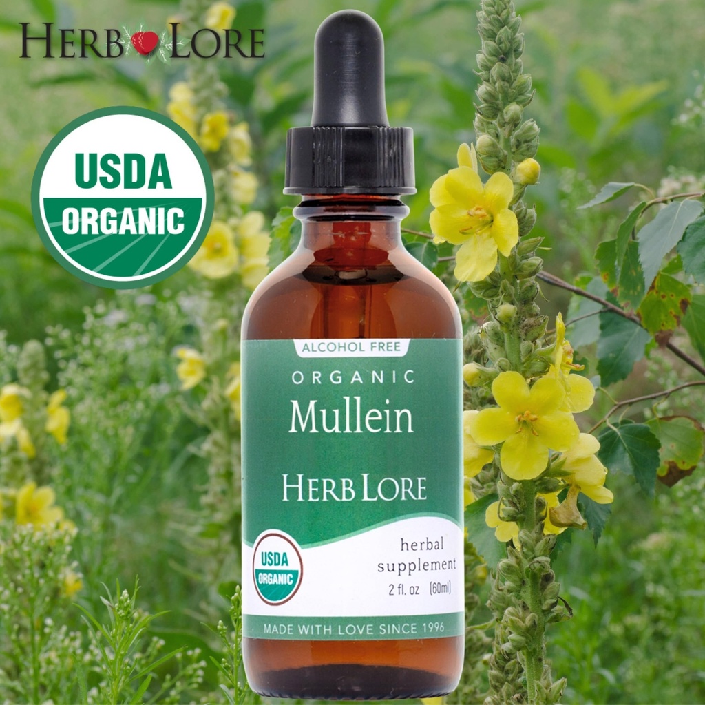 herb-lore-mullein-tincture-organic-mulle-4.jpg