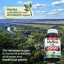 fito-medic-s-mullein-mullein-leaf-capsul-6.jpg