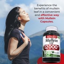 fito-medic-s-mullein-mullein-leaf-capsul-4.jpg