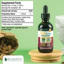 munomax-bright-lungs-advanced-immune-lun-3.jpg