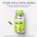 solaray-vitamin-c-1000mg-and-mullein-lea-5.jpg
