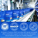 triple-action-nac-600mg-with-nad-mct-oil-6.jpg