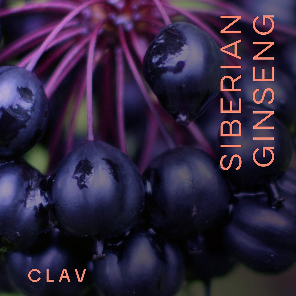 clav-siberian-ginseng-900mg-eleuthero-ro-2.jpg