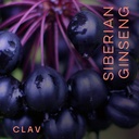 clav-siberian-ginseng-900mg-eleuthero-ro-2.jpg
