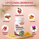 vev-metabolism-gut-detox-bundle-berberin-3.jpg