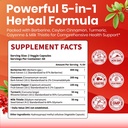 vev-berberine-supplement-with-ceylon-cin-4.jpg