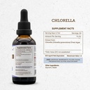 secrets-of-the-tribe-chlorella-tincture--4.jpg