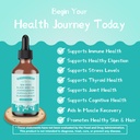 sea-moss-drops-with-ashwagandha-tincture-2.jpg
