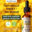 mullein-with-chlorophyll-sea-moss-nettle-3.jpg