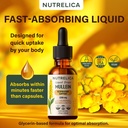 mullein-with-chlorophyll-sea-moss-nettle-5.jpg