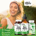 wild-organic-sea-moss-tincture-4-fl-oz-s-4.jpg