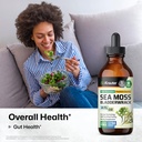 bio-krauter-lion-s-mane-tincture-4-fl-oz-6.jpg