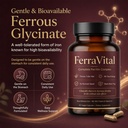 ferravital-ferritin-supplement-for-women-4.jpg