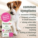homeopet-uti-urinary-tract-supplement-sa-3.jpg