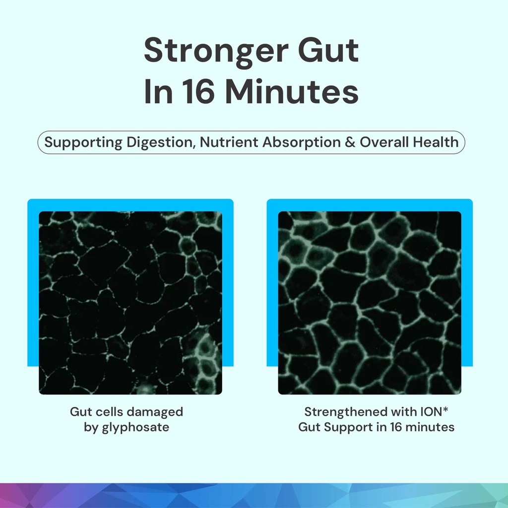 ion-intelligence-of-nature-gut-support-l-5.jpg