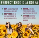 perfect-supplements-rhodiola-rosea-for-b-3.jpg
