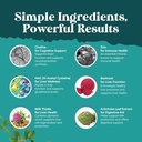bundle-of-potent-vitamin-b6-gummies-for--5.jpg